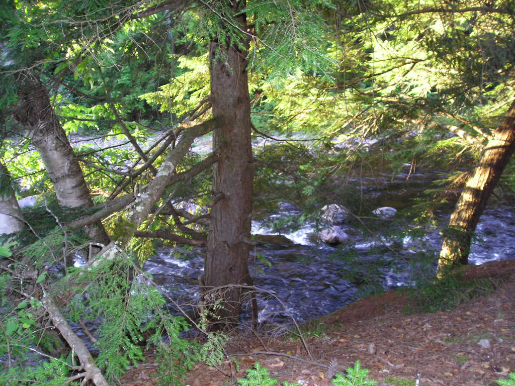 Schroon Lake Real Estate Listing Detail Northern Homes Realty