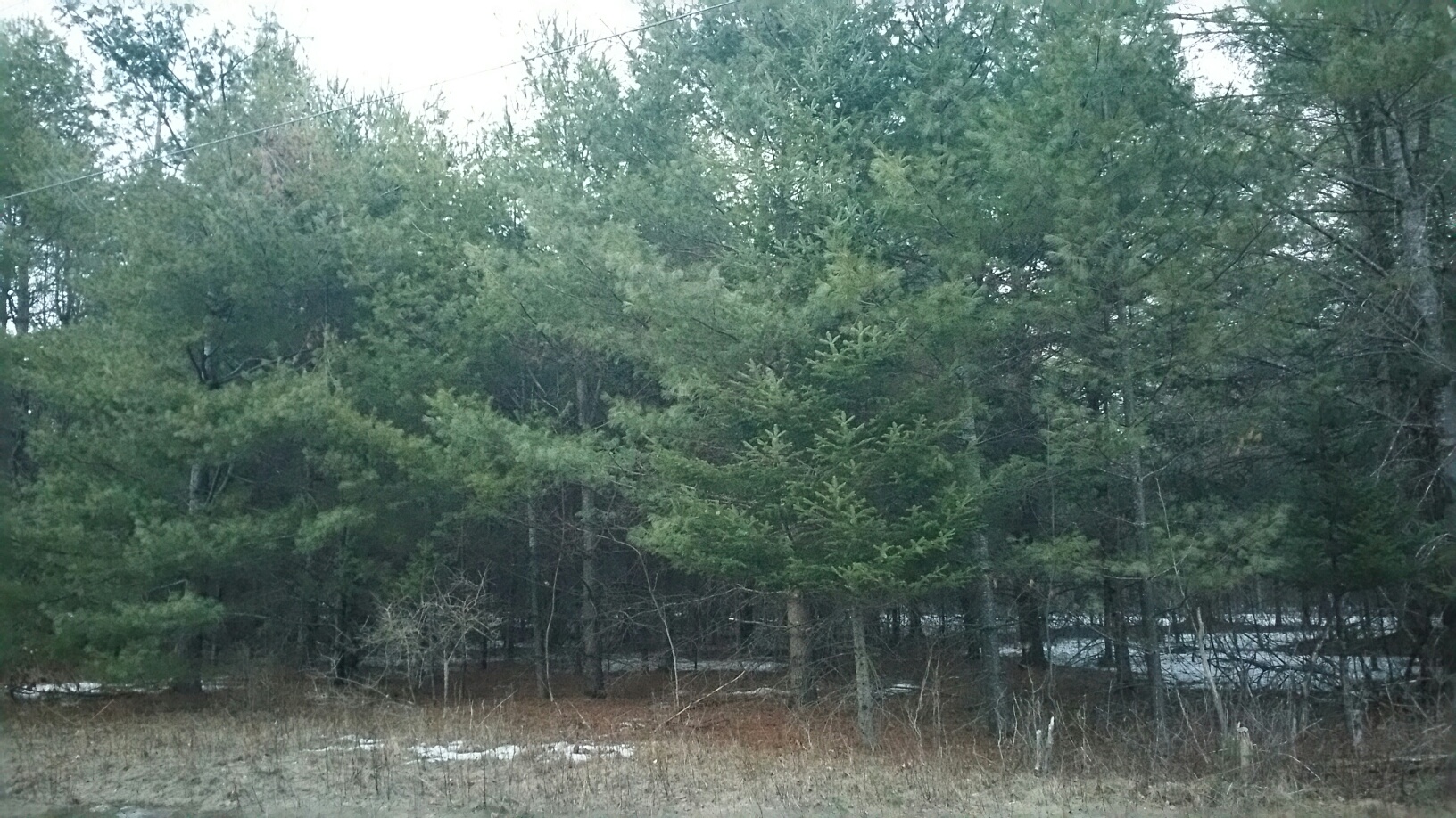 Northern Homes Realty Inc. Listing Number D336